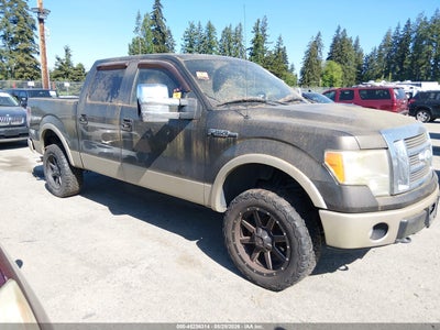FORD F-150 2009