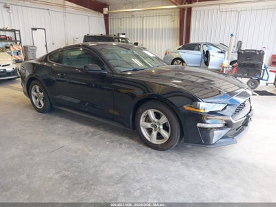 FORD MUSTANG 2019