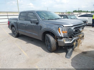 FORD F-150 2023