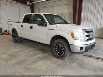 FORD F-150 2013
