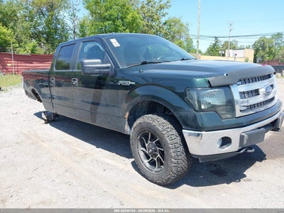 FORD F-150 2014