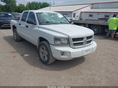 RAM DAKOTA 2011