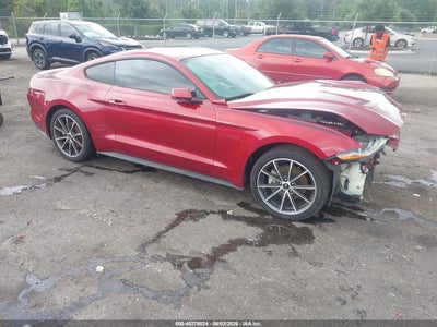 FORD MUSTANG 2019