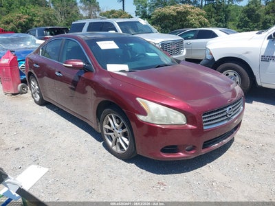NISSAN MAXIMA 2011