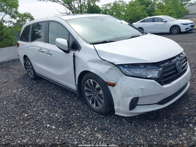 HONDA ODYSSEY 2024