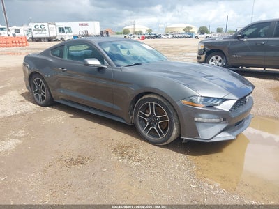 FORD MUSTANG 2019