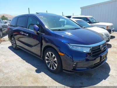 HONDA ODYSSEY 2023