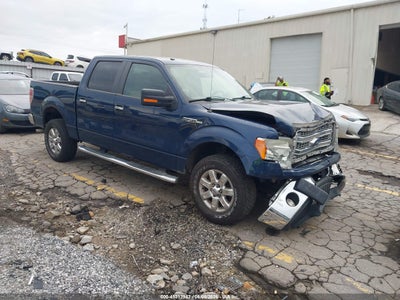 FORD F-150 2014