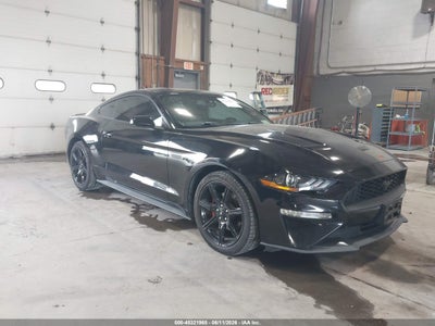 FORD MUSTANG 2019