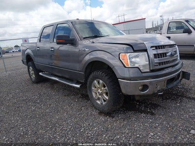 FORD F-150 2013