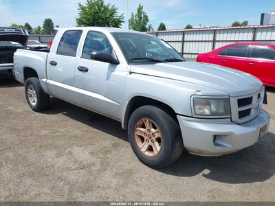 DODGE DAKOTA 2010