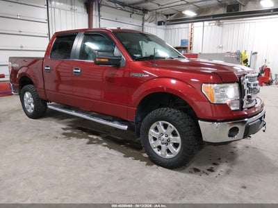 FORD F-150 2014