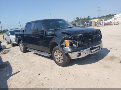 FORD F-150 2010
