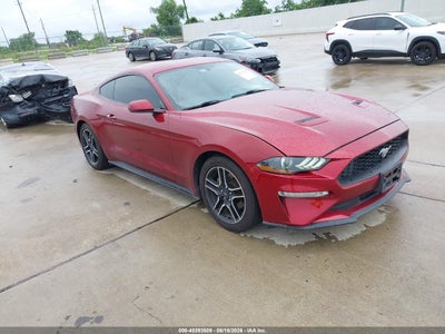 FORD MUSTANG 2019