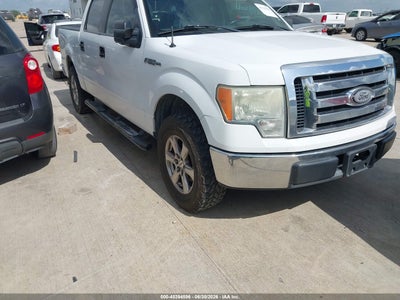 FORD F-150 2009