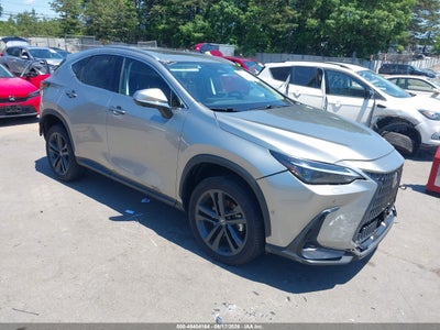 LEXUS NX 450H+ 2024
