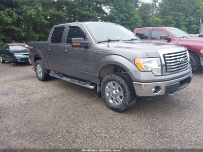 FORD F-150 2011
