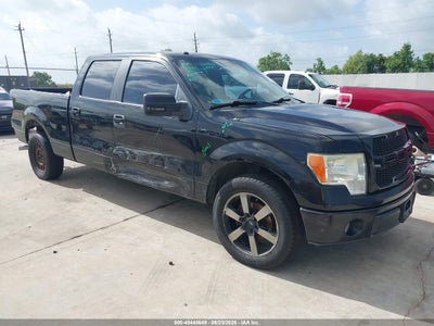 FORD F-150 2009