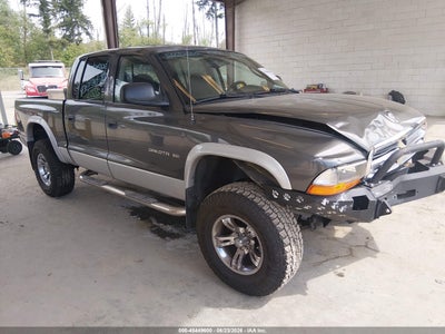DODGE DAKOTA 2002