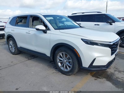 HONDA CR-V 2025