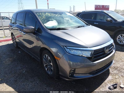HONDA ODYSSEY 2022