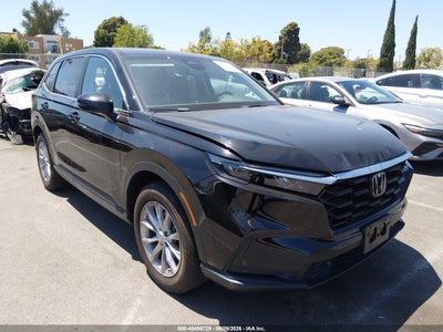 HONDA CR-V 2025