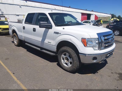 FORD F-150 2011