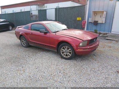 FORD MUSTANG 2005