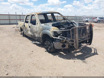 FORD F-150 2010