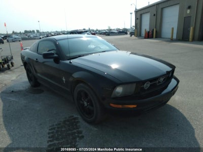 FORD MUSTANG 2008
