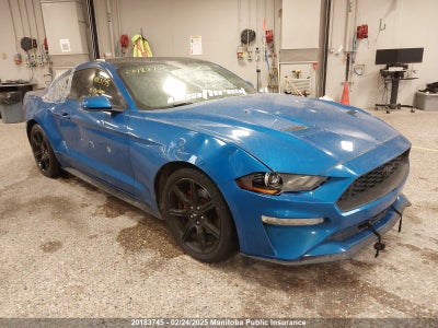 FORD MUSTANG 2019