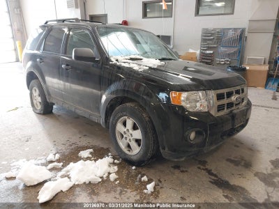 FORD ESCAPE 2010