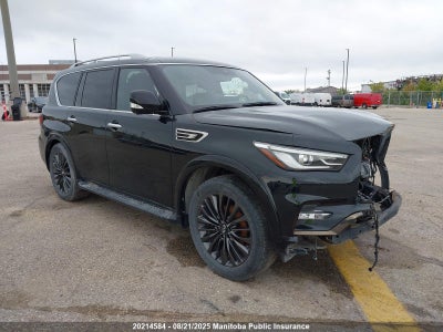 INFINITI QX80 PROACTIVE 2022