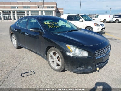 NISSAN MAXIMA 2011