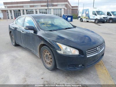 NISSAN MAXIMA 2011