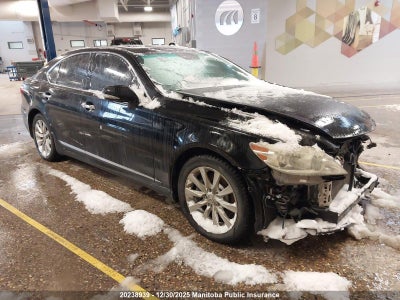 LEXUS LS 2010