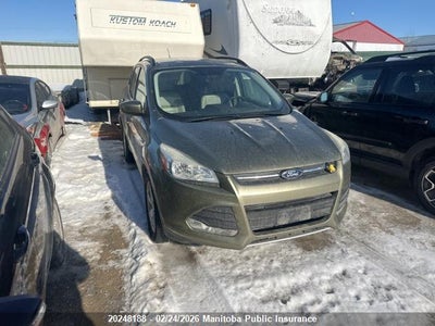 FORD ESCAPE 2014