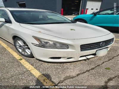 NISSAN MAXIMA 2009