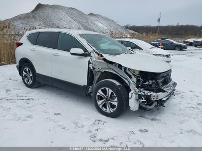 HONDA CR-V 2021