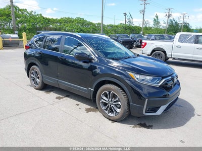 HONDA CR-V 2020