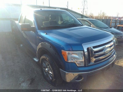 FORD F-150 2009