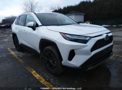 Toyota Rav4 Hybrid 2023