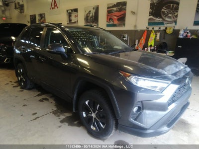 TOYOTA RAV4 2019