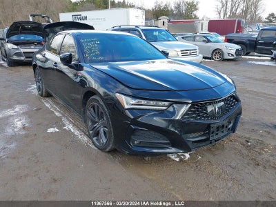 ACURA TLX 2023