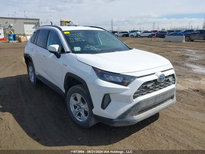 TOYOTA RAV4 2019