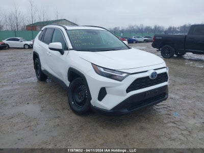 TOYOTA RAV4 2023