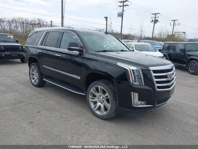 CADILLAC ESCALADE 2019