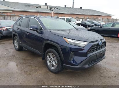 Toyota Rav4 Hybrid 2024