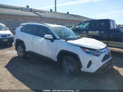 TOYOTA RAV4 2024