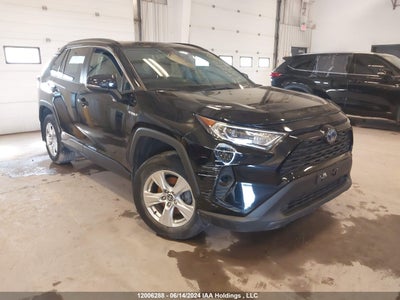 TOYOTA RAV4 2019